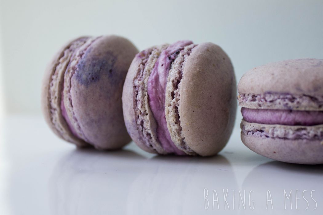 Blueberry and Mascarpone Macarons